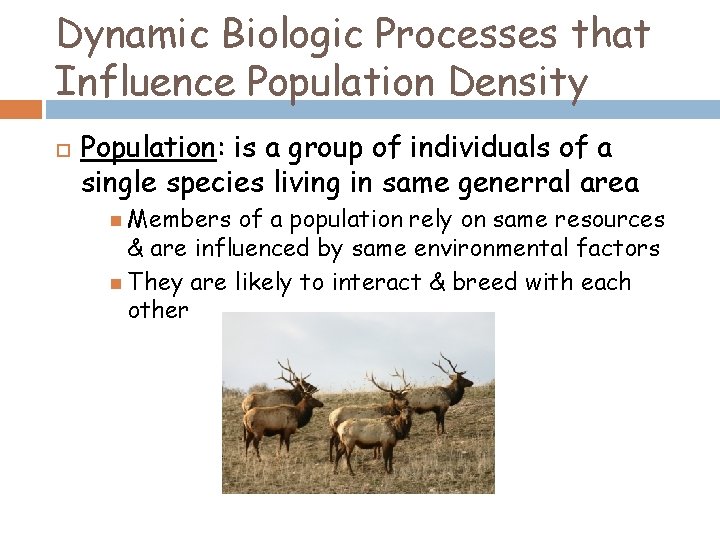 Dynamic Biologic Processes that Influence Population Density Population: is a group of individuals of