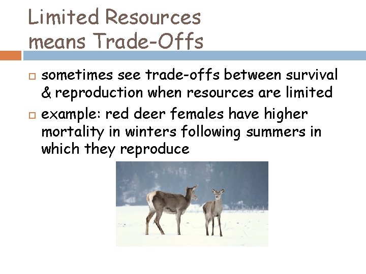 Limited Resources means Trade-Offs sometimes see trade-offs between survival & reproduction when resources are