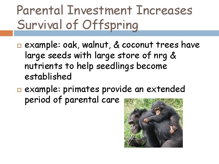 Parental Investment Increases Survival of Offspring example: oak, walnut, & coconut trees have large