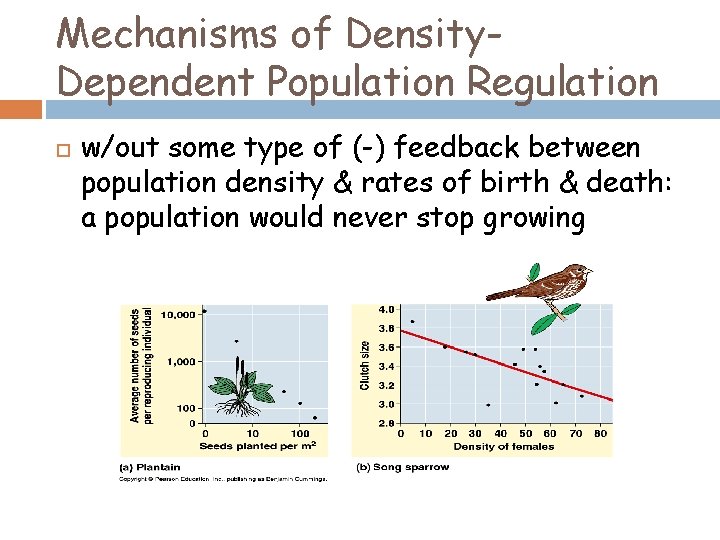 Mechanisms of Density. Dependent Population Regulation w/out some type of (-) feedback between population