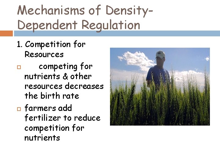 Mechanisms of Density. Dependent Regulation 1. Competition for Resources competing for nutrients & other