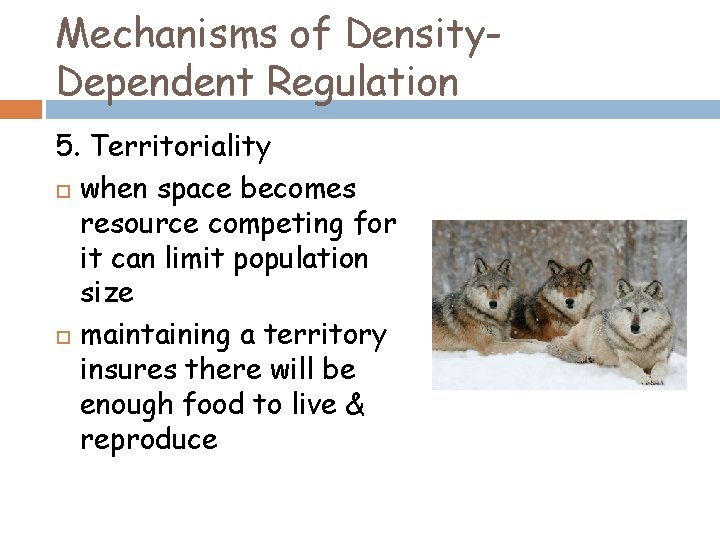 Mechanisms of Density. Dependent Regulation 5. Territoriality when space becomes resource competing for it