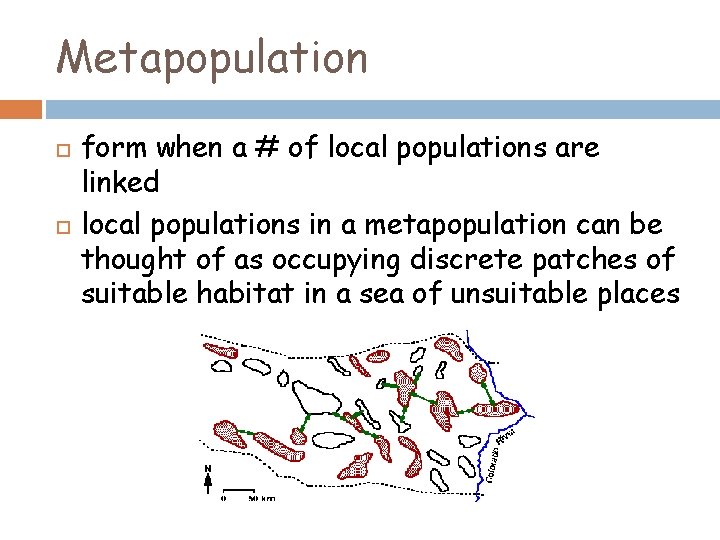 Metapopulation form when a # of local populations are linked local populations in a