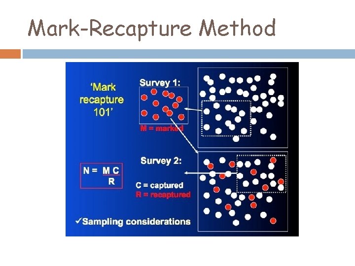 Mark-Recapture Method 