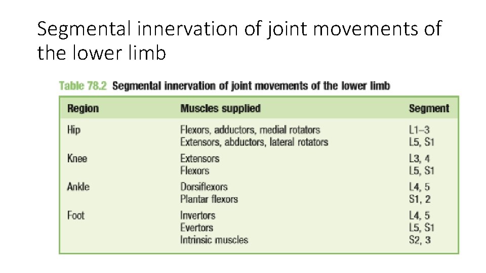 Segmental innervation of joint movements of the lower limb  Segmental innervation of joint movements of the lower limb
