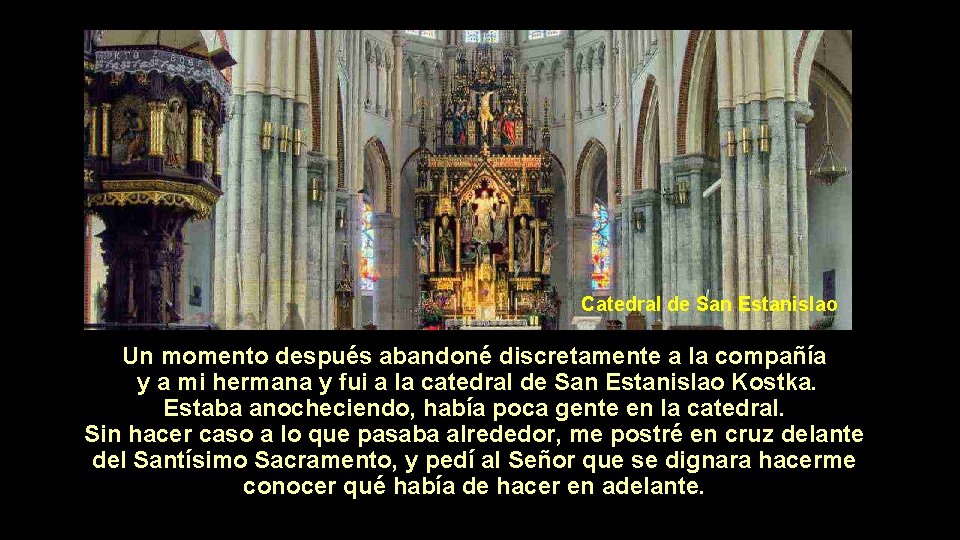 Catedral de San Estanislao Un momento después abandoné discretamente a la compañía y a