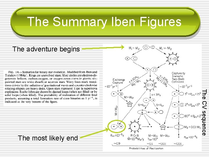 The Summary Iben Figures The adventure begins The CV sequence The most likely end