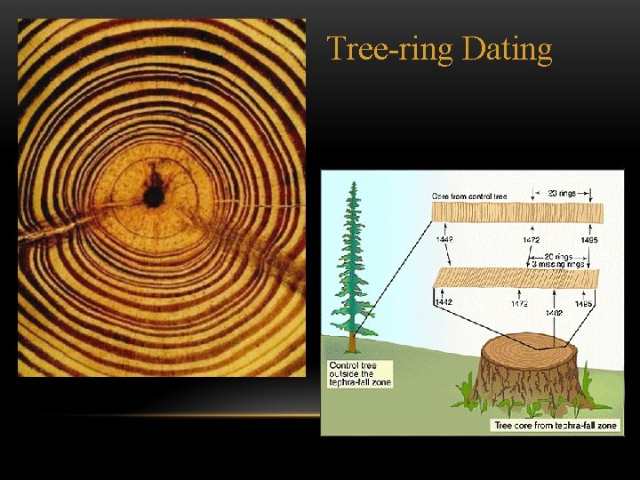 Tree-ring Dating 