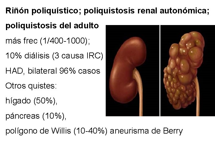 Riñón poliquístico; poliquistosis renal autonómica; poliquistosis del adulto más frec (1/400 -1000); 10% diálisis