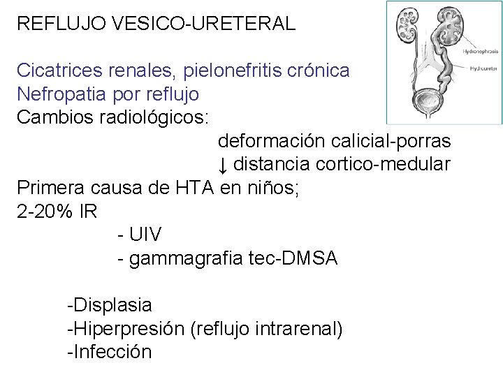 REFLUJO VESICO-URETERAL Cicatrices renales, pielonefritis crónica Nefropatia por reflujo Cambios radiológicos: deformación calicial-porras ↓