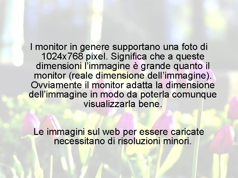 I monitor in genere supportano una foto di 1024 x 768 pixel. Significa che