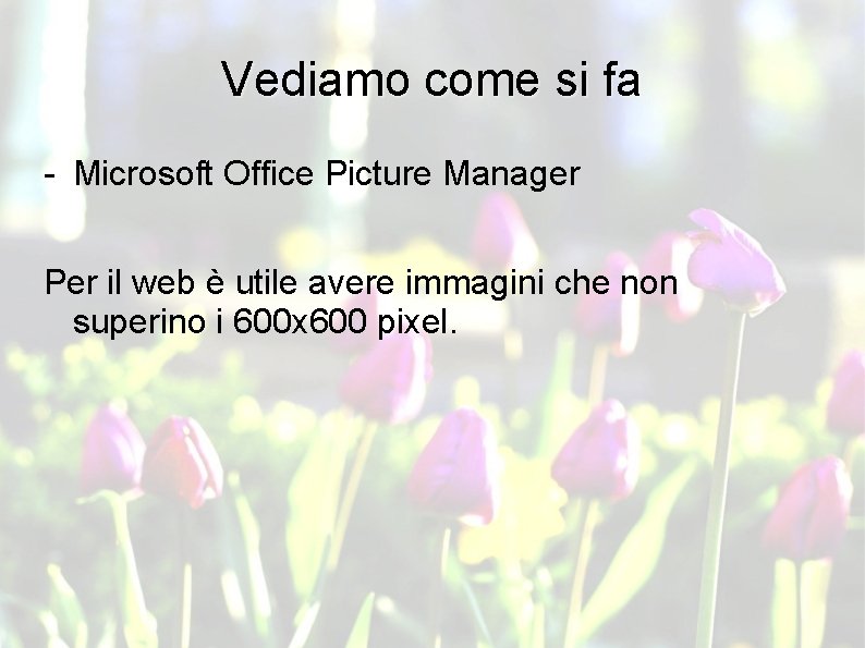 Vediamo come si fa - Microsoft Office Picture Manager Per il web è utile