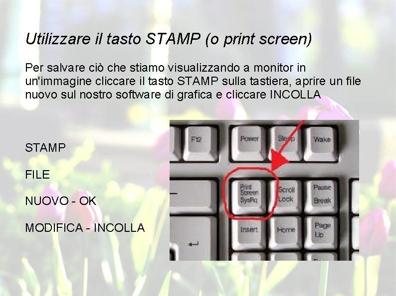 Utilizzare il tasto STAMP (o print screen) Per salvare ciò che stiamo visualizzando a