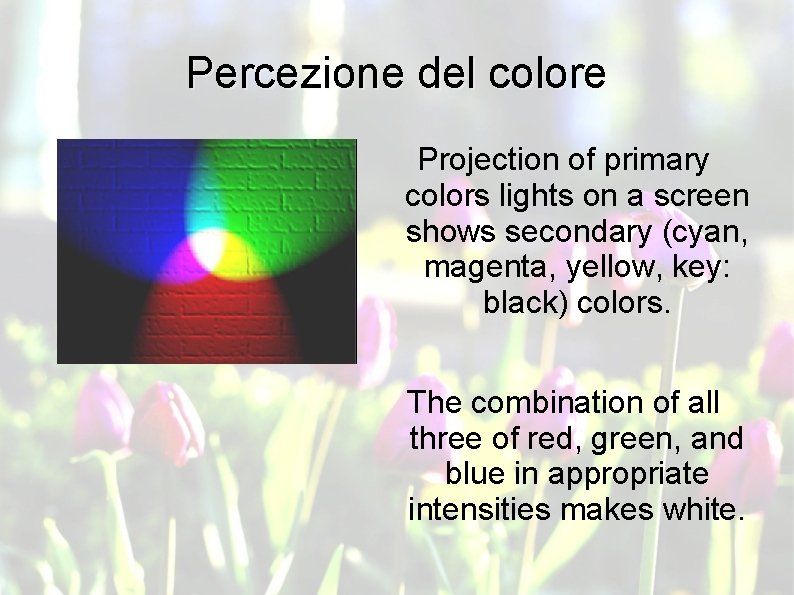 Percezione del colore Projection of primary colors lights on a screen shows secondary (cyan,