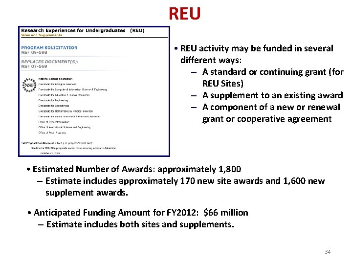 REU • REU activity may be funded in several different ways: – A standard