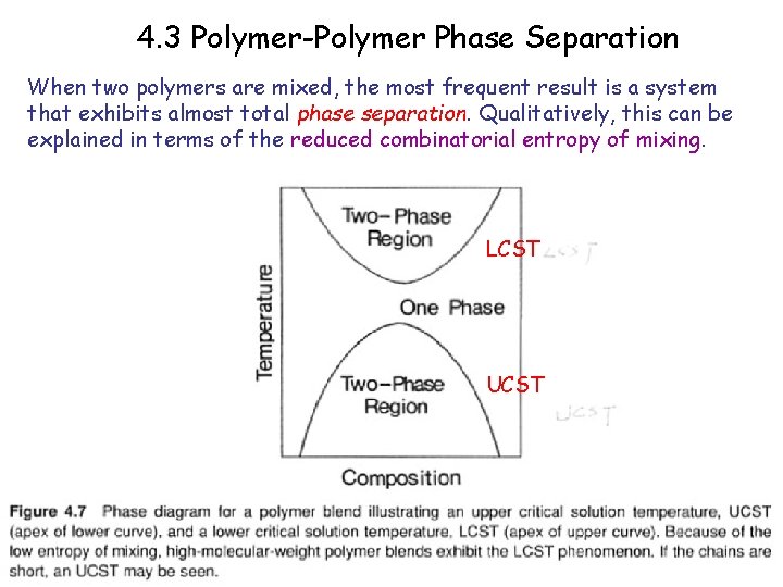 4. 3 Polymer-Polymer Phase Separation When two polymers are mixed, the most frequent result