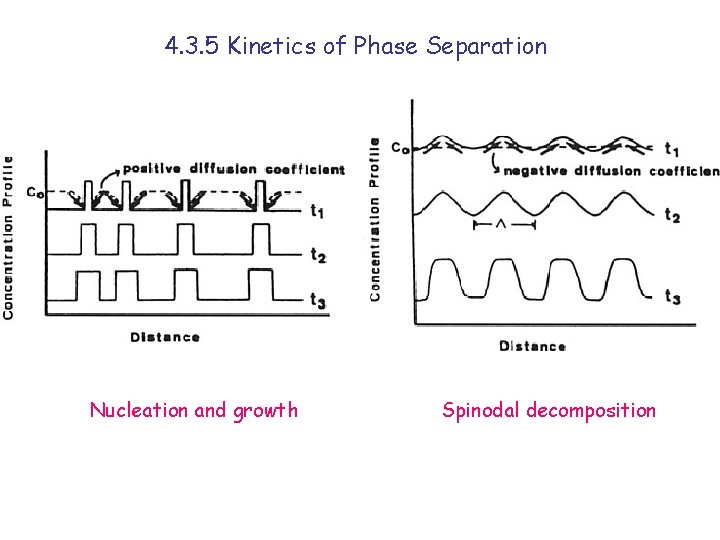 4. 3. 5 Kinetics of Phase Separation Nucleation and growth Spinodal decomposition 