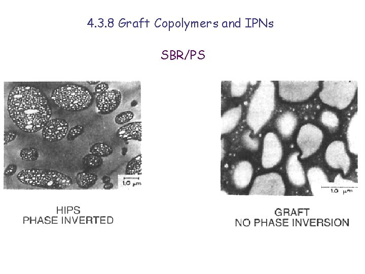 4. 3. 8 Graft Copolymers and IPNs SBR/PS 