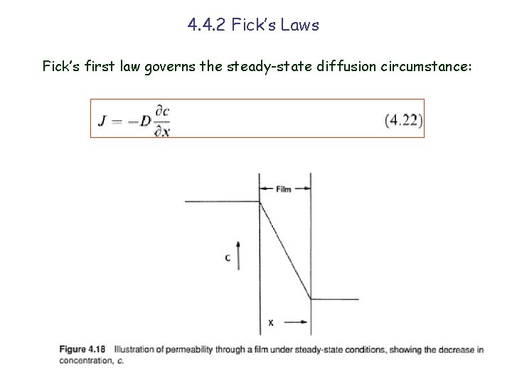 4. 4. 2 Fick’s Laws Fick’s first law governs the steady-state diffusion circumstance: 