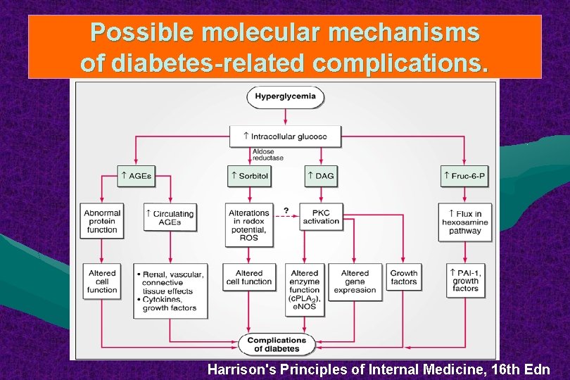Possible molecular mechanisms of diabetes-related complications. Harrison's Principles of Internal Medicine, 16 th Edn