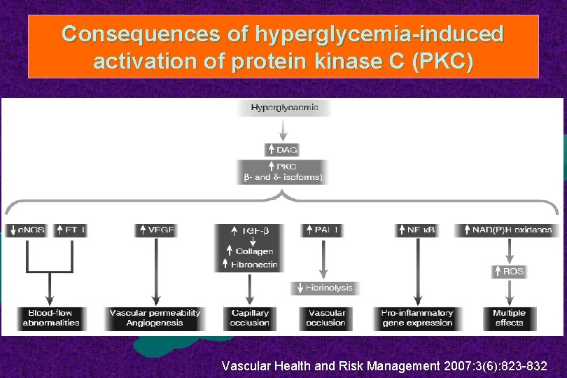 Consequences of hyperglycemia-induced activation of protein kinase C (PKC) Vascular Health and Risk Management