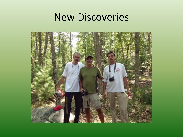 New Discoveries 