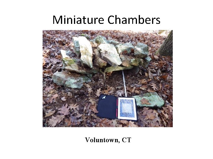 Miniature Chambers Voluntown, CT 
