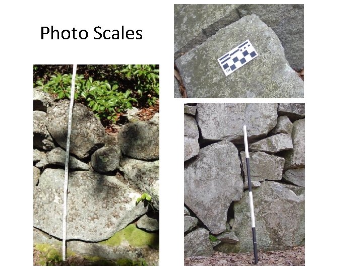 Photo Scales 