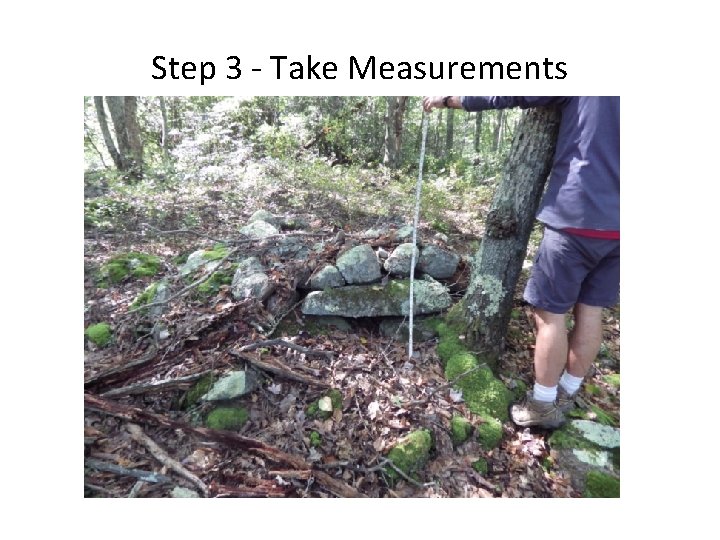 Step 3 - Take Measurements 