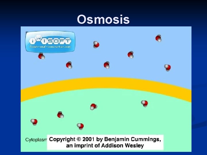Osmosis 