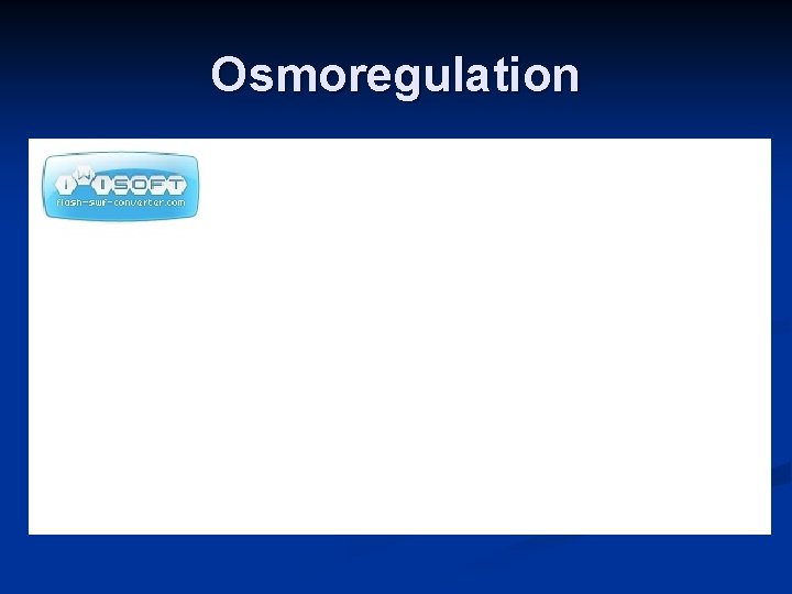 Osmoregulation 