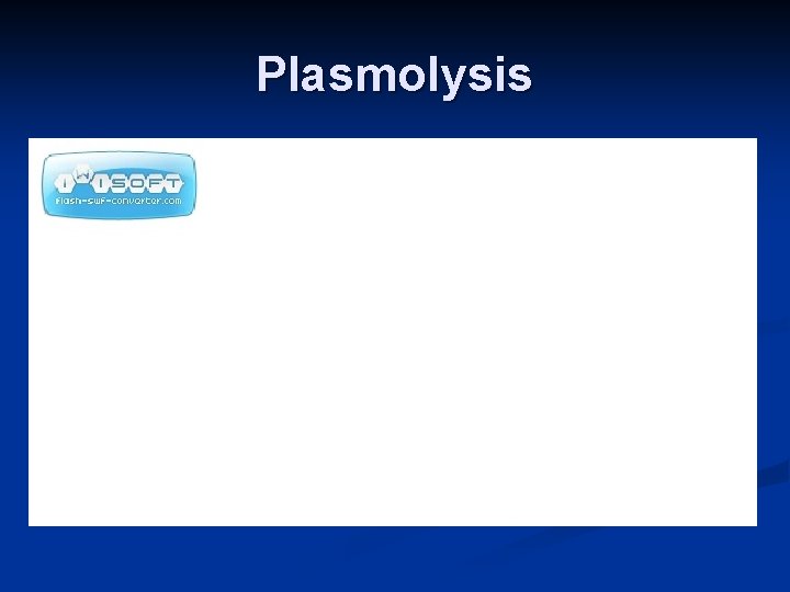 Plasmolysis 