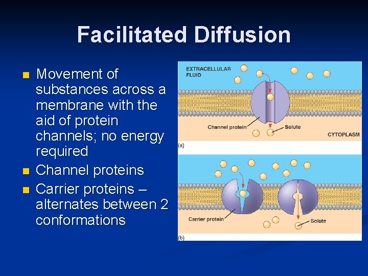 Facilitated Diffusion n Movement of substances across a membrane with the aid of protein