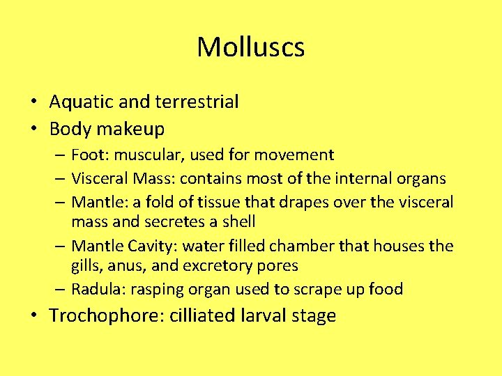 Molluscs • Aquatic and terrestrial • Body makeup – Foot: muscular, used for movement