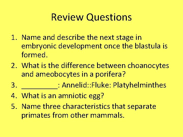 Review Questions 1. Name and describe the next stage in embryonic development once the