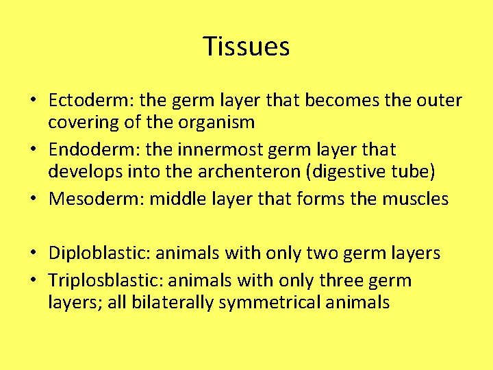 Tissues • Ectoderm: the germ layer that becomes the outer covering of the organism