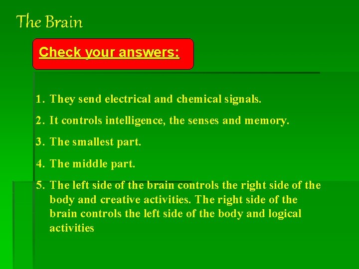 The Brain Check your answers: 1. They send electrical and chemical signals. 2. It
