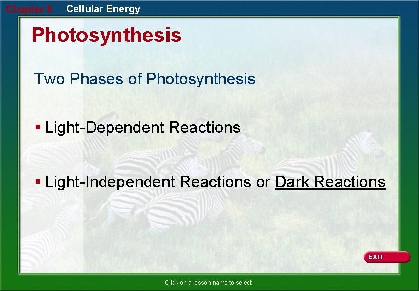 Chapter 8 Cellular Energy Photosynthesis Two Phases of Photosynthesis § Light-Dependent Reactions § Light-Independent