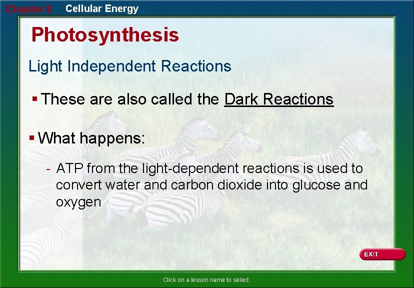 Chapter 8 Cellular Energy Photosynthesis Light Independent Reactions § These are also called the