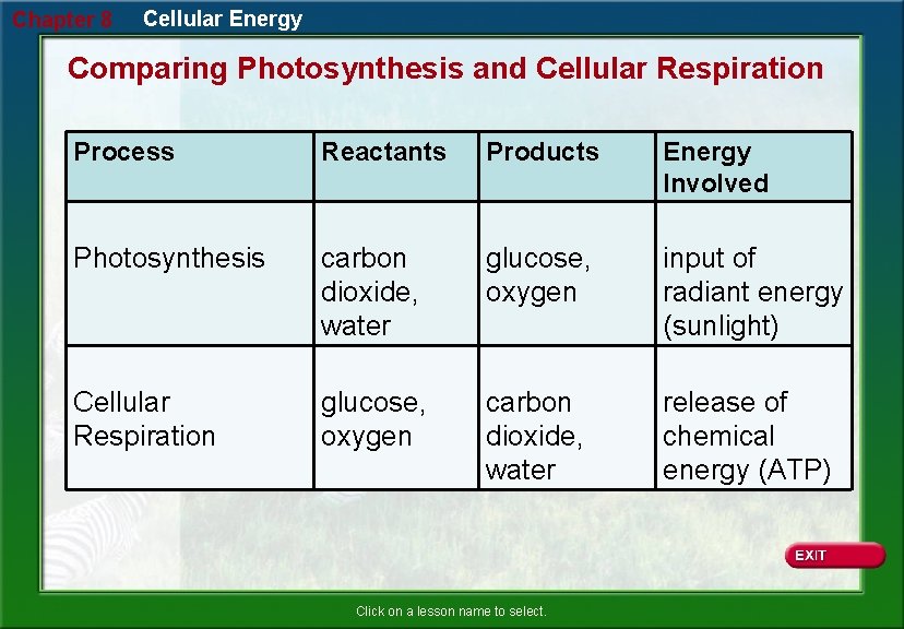 Chapter 8 Cellular Energy Comparing Photosynthesis and Cellular Respiration Process Reactants Products Energy Involved