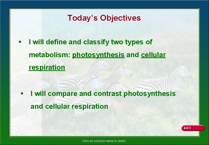 Today’s Objectives § I will define and classify two types of metabolism: photosynthesis and