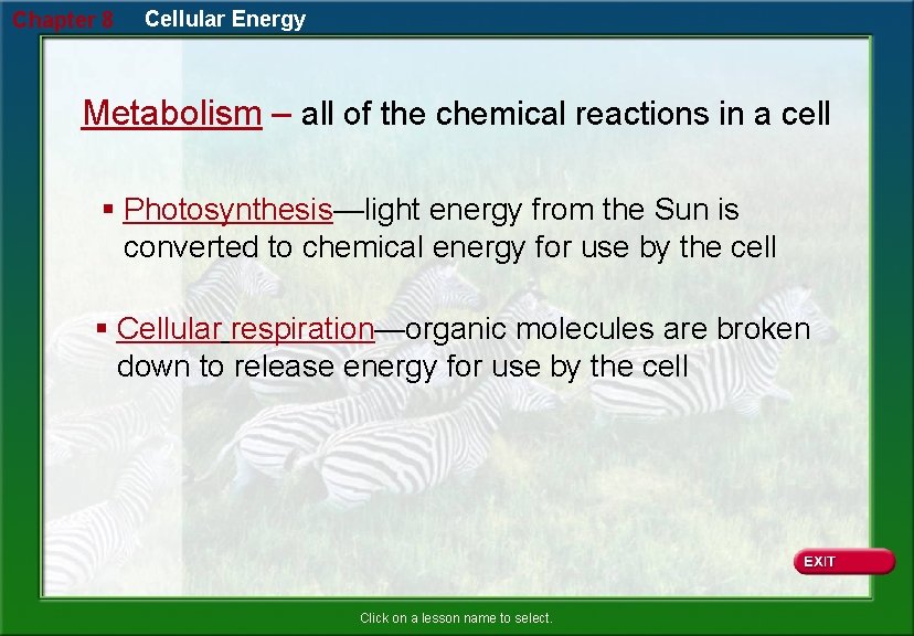 Chapter 8 Cellular Energy Metabolism – all of the chemical reactions in a cell