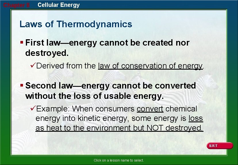 Chapter 8 Cellular Energy Laws of Thermodynamics § First law—energy cannot be created nor