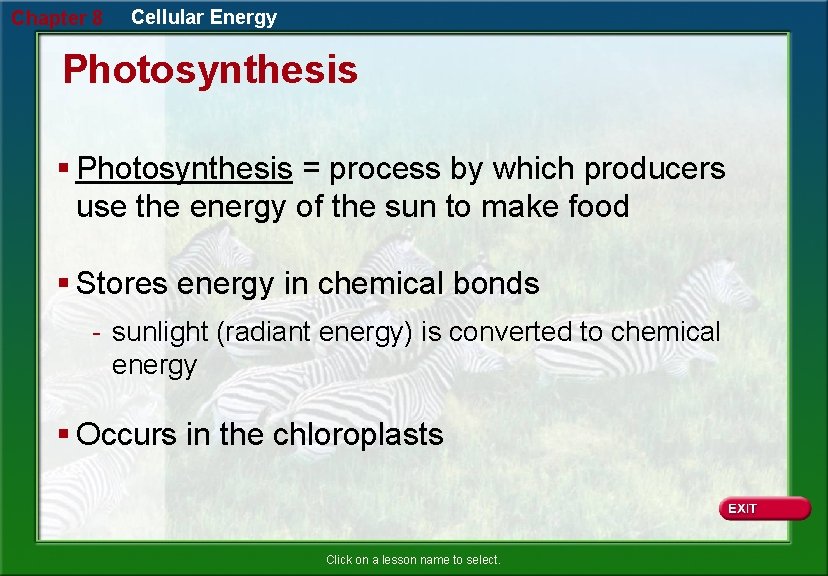 Chapter 8 Cellular Energy Photosynthesis § Photosynthesis = process by which producers use the