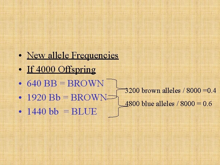  • • • New allele Frequencies If 4000 Offspring 640 BB = BROWN