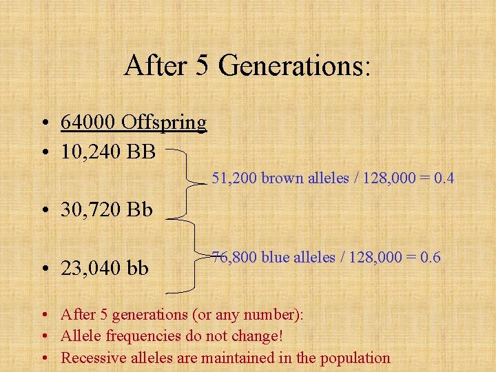 After 5 Generations: • 64000 Offspring • 10, 240 BB 51, 200 brown alleles
