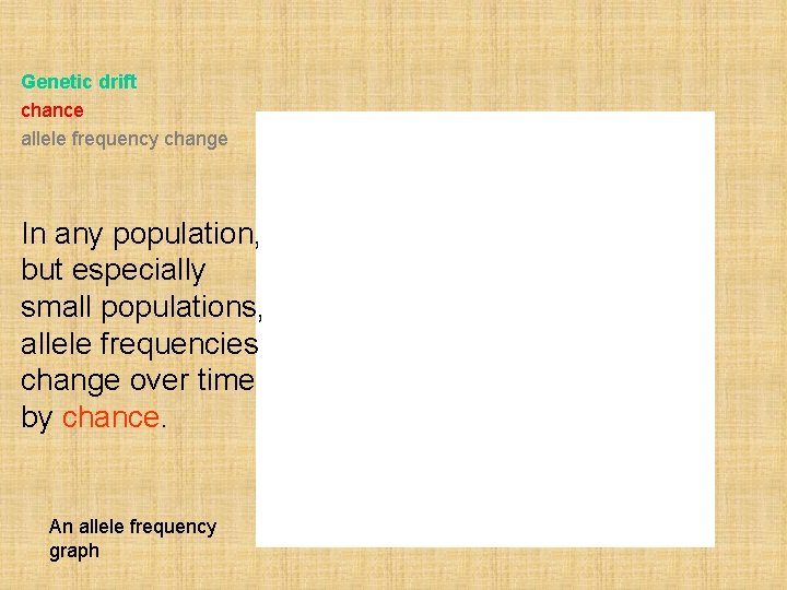 Genetic drift chance allele frequency change In any population, but especially small populations, allele