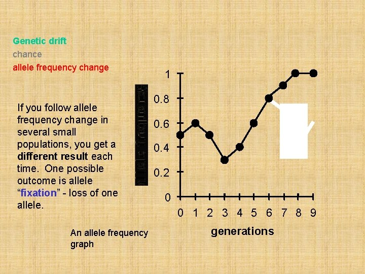 Genetic drift chance allele frequency change If you follow allele frequency change in several