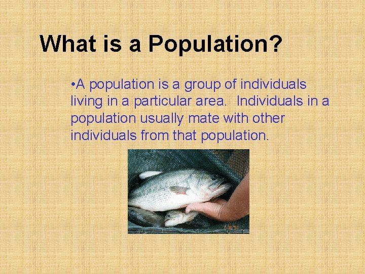 What is a Population? • A population is a group of individuals living in