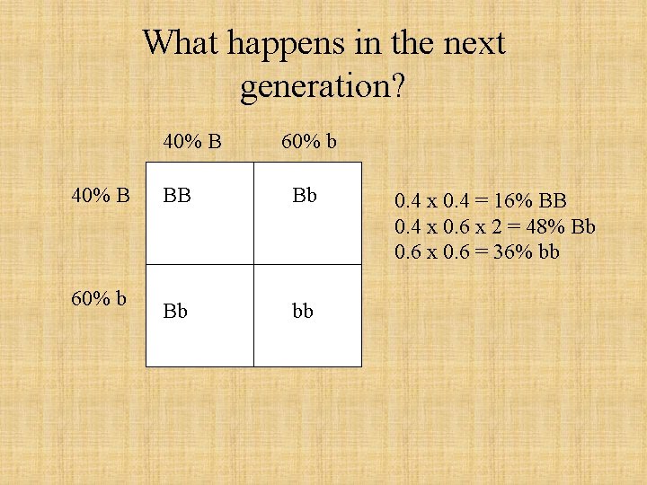 What happens in the next generation? 40% B 60% b BB Bb Bb bb